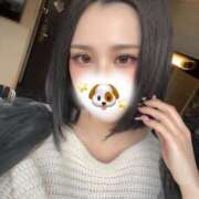 ヒメ日記 2025/04/02 15:00 投稿 いおり ミセス ファースト -お姉さん・若妻専門店-