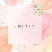 ヒメ日記 2025/07/15 18:01 投稿 高峰みさと セクシーキャット 神田店