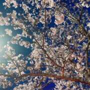 桜坂えな 出勤したよ〜〜🥺✨ ヴェルファーレーVELFARREー鹿児島