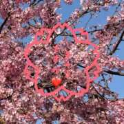 ヒメ日記 2026/03/03 19:02 投稿 まなみ 人妻ちゃんねる