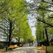 ヒメ日記 2025/05/01 19:59 投稿 あん 船橋桃色の妻たち