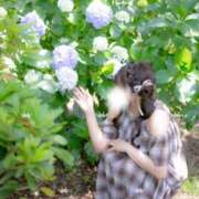 ヒメ日記 2026/06/27 12:15 投稿 明け星つぐみ OL精薬