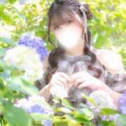 ヒメ日記 2026/06/29 19:45 投稿 明け星つぐみ OL精薬