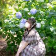 ヒメ日記 2026/09/25 15:05 投稿 明け星つぐみ OL精薬