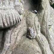 ヒメ日記 2025/04/07 20:18 投稿 千葉(ちば) 八王子人妻城