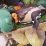 ヒメ日記 2025/05/01 11:33 投稿 千葉(ちば) 八王子人妻城