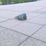 ヒメ日記 2025/05/08 11:57 投稿 千葉(ちば) 八王子人妻城