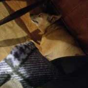 ヒメ日記 2025/06/12 09:03 投稿 千葉(ちば) 八王子人妻城