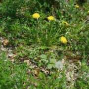 ヒメ日記 2025/06/14 13:18 投稿 千葉(ちば) 八王子人妻城