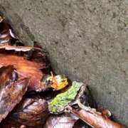 ヒメ日記 2025/07/09 14:09 投稿 千葉(ちば) 八王子人妻城