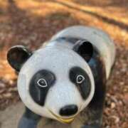 ヒメ日記 2025/08/06 23:33 投稿 千葉(ちば) 八王子人妻城