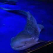 ヒメ日記 2025/08/08 18:09 投稿 千葉(ちば) 八王子人妻城