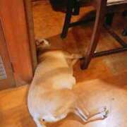 ヒメ日記 2025/08/09 20:51 投稿 千葉(ちば) 八王子人妻城