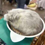 ヒメ日記 2025/08/21 21:09 投稿 千葉(ちば) 八王子人妻城