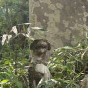 ヒメ日記 2025/08/23 12:24 投稿 千葉(ちば) 八王子人妻城