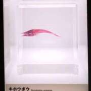 ヒメ日記 2025/08/25 20:30 投稿 千葉(ちば) 八王子人妻城