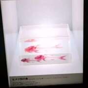 ヒメ日記 2025/08/26 17:48 投稿 千葉(ちば) 八王子人妻城