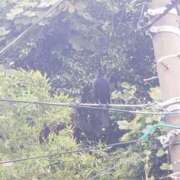 ヒメ日記 2025/09/20 09:24 投稿 千葉(ちば) 八王子人妻城