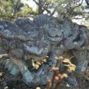 ヒメ日記 2025/09/25 18:03 投稿 千葉(ちば) 八王子人妻城