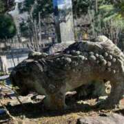 ヒメ日記 2025/10/05 09:42 投稿 千葉(ちば) 八王子人妻城