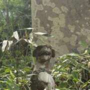 ヒメ日記 2025/10/30 12:03 投稿 千葉(ちば) 八王子人妻城