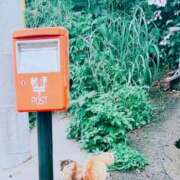 ヒメ日記 2025/11/11 21:03 投稿 千葉(ちば) 八王子人妻城