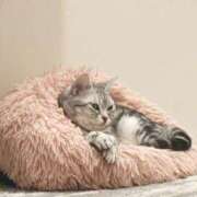 ヒメ日記 2025/11/19 18:33 投稿 千葉(ちば) 八王子人妻城