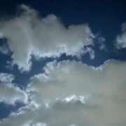 ヒメ日記 2025/11/20 08:27 投稿 千葉(ちば) 八王子人妻城