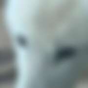 ヒメ日記 2025/11/24 19:34 投稿 千葉(ちば) 八王子人妻城