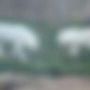 ヒメ日記 2025/11/25 11:53 投稿 千葉(ちば) 八王子人妻城