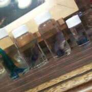 ヒメ日記 2025/12/19 15:48 投稿 千葉(ちば) 八王子人妻城