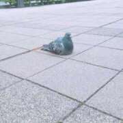 ヒメ日記 2025/12/23 21:18 投稿 千葉(ちば) 八王子人妻城