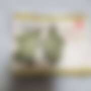 ヒメ日記 2025/12/26 13:36 投稿 千葉(ちば) 八王子人妻城