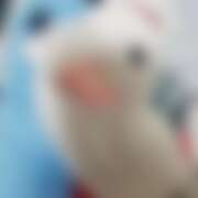 ヒメ日記 2026/01/03 17:26 投稿 千葉(ちば) 八王子人妻城