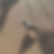 ヒメ日記 2026/02/20 12:04 投稿 千葉(ちば) 八王子人妻城