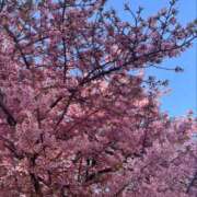 ヒメ日記 2026/02/20 17:42 投稿 千葉(ちば) 八王子人妻城