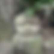 ヒメ日記 2026/02/21 11:27 投稿 千葉(ちば) 八王子人妻城