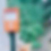 ヒメ日記 2026/03/15 00:50 投稿 千葉(ちば) 八王子人妻城