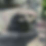 ヒメ日記 2026/03/25 00:52 投稿 千葉(ちば) 八王子人妻城