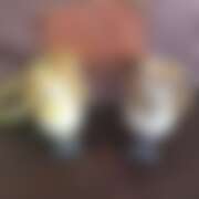 ヒメ日記 2026/03/31 01:36 投稿 千葉(ちば) 八王子人妻城