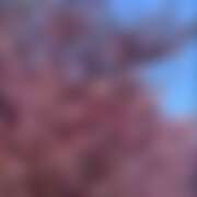 ヒメ日記 2026/04/02 22:05 投稿 千葉(ちば) 八王子人妻城