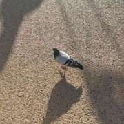 ヒメ日記 2026/04/07 16:48 投稿 千葉(ちば) 八王子人妻城