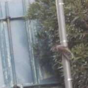 ヒメ日記 2026/04/15 10:33 投稿 千葉(ちば) 八王子人妻城