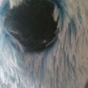 ヒメ日記 2026/04/16 14:33 投稿 千葉(ちば) 八王子人妻城