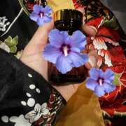 ヒメ日記 2025/08/17 12:30 投稿 松本まりあ HANABI(福富町)