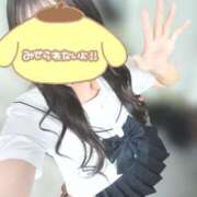 ヒメ日記 2025/04/12 10:49 投稿 鹿島まゆ 渋谷ミルク