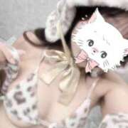 ヒメ日記 2025/11/06 11:22 投稿 鹿島まゆ 渋谷ミルク