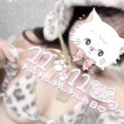 ヒメ日記 2025/11/11 22:42 投稿 鹿島まゆ 渋谷ミルク