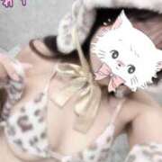 ヒメ日記 2026/02/22 12:42 投稿 鹿島まゆ 渋谷ミルク