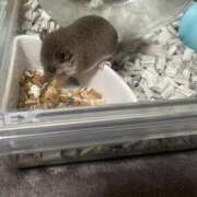 ヒメ日記 2025/06/02 12:24 投稿 せな ごほうびSPA横浜店